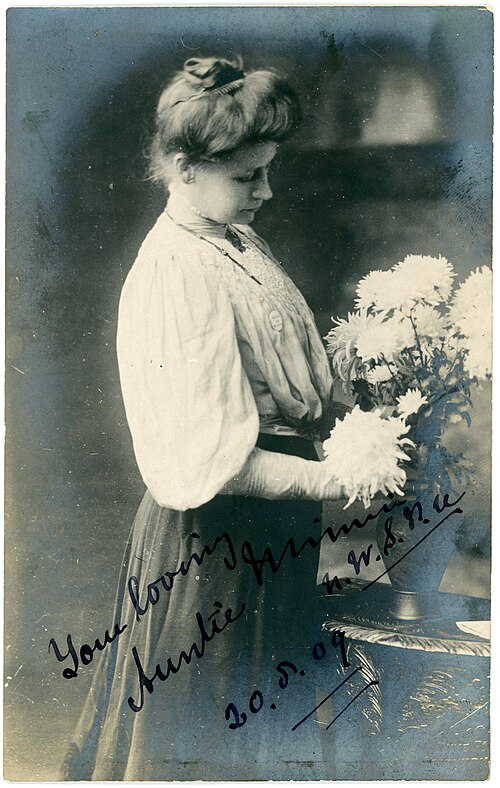 ميني تيرنر (1909)