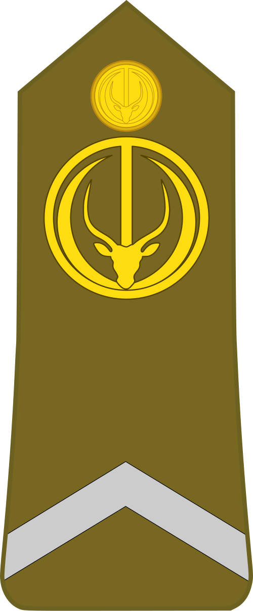Soldat العرض الأول (القوات البرية التشادية)