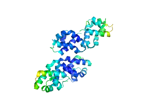 سابوسين د (PDB: 2RB3).