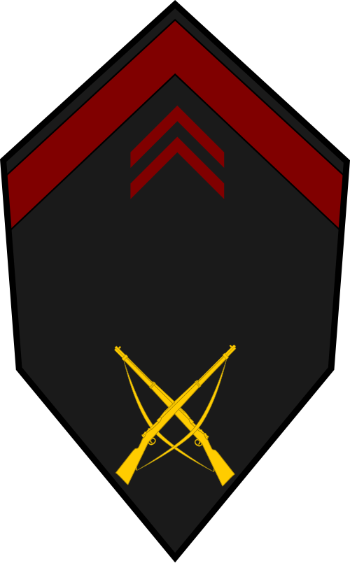 Soldat de 1ère classe (الجيش السنغالي)