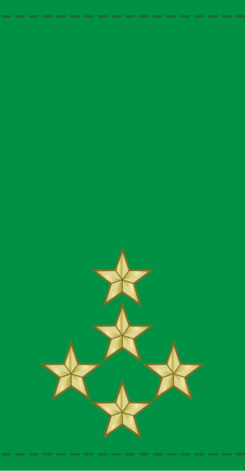جنرال دارمي (الجيش المالي)