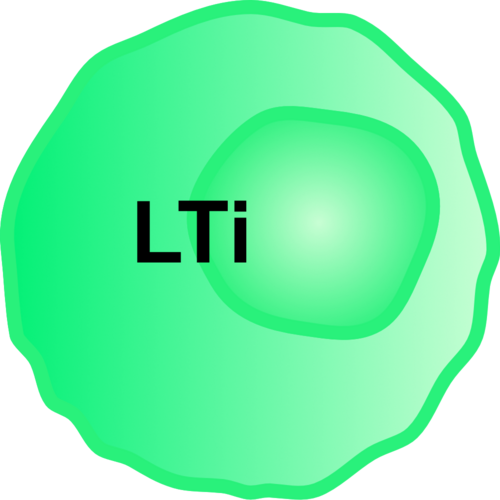رسم توضيحي لخلية LTi