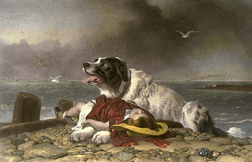 تم الحفظ، 1856