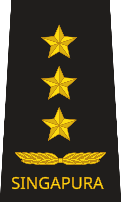 نائب أميرال (بحرية جمهورية سنغافورة)