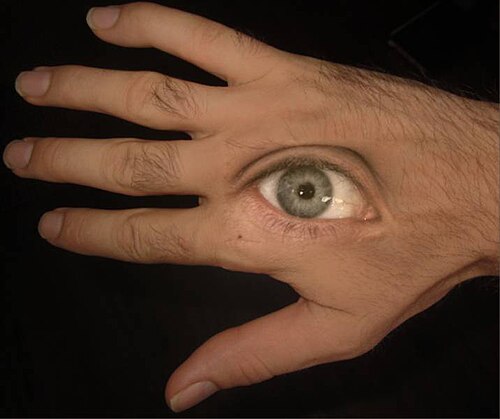 صورة مُعاد بناؤها. هذه هي نتيجة حل معادلة بواسون على التدرج المُعدَّل. بالكاد يُمكن رؤية الخط الفاصل بين الصورتين.