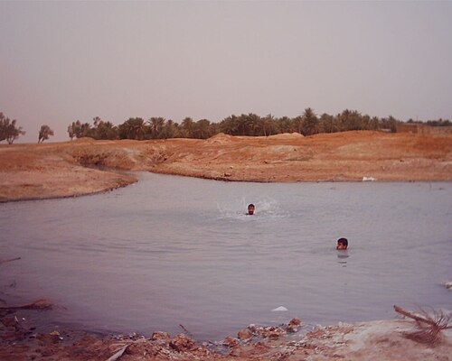 كوبايسا أواسيس، 2003