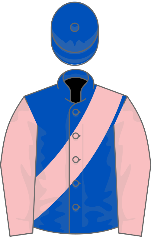 Royal blue, pink sash and sleeves