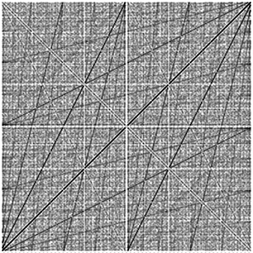 مخطط التحويل الثنائي xy حيث x = x0 ∈ [0, 1] عدد نسبي و y = xn لجميع قيم n