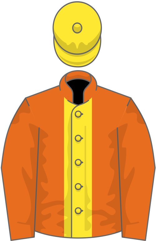 Orange, yellow stripe, orange sleeves, yellow cap