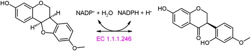 Pterocarpin synthase reaction