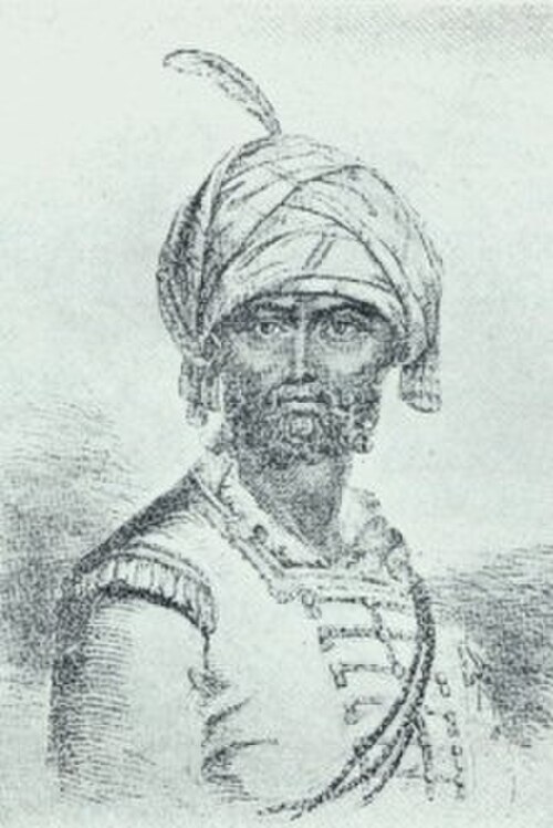 منح شاه عالم الثاني حيدر علي لقب شمس الملك وأمير الدولة، وكانت سياساته المؤيدة لفرنسا استمراراً لسياسات الإمبراطورية المغولية خلال حرب السنوات السبع.