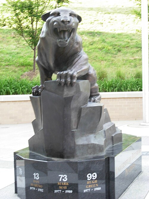 منظر أمامي لـ Pete's Panther
