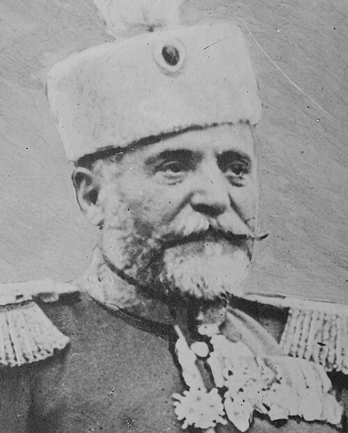 رادومير بوتنيك