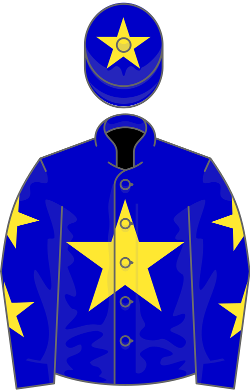 Blue, yellow star, yellow stars on sleeves and star on cap
