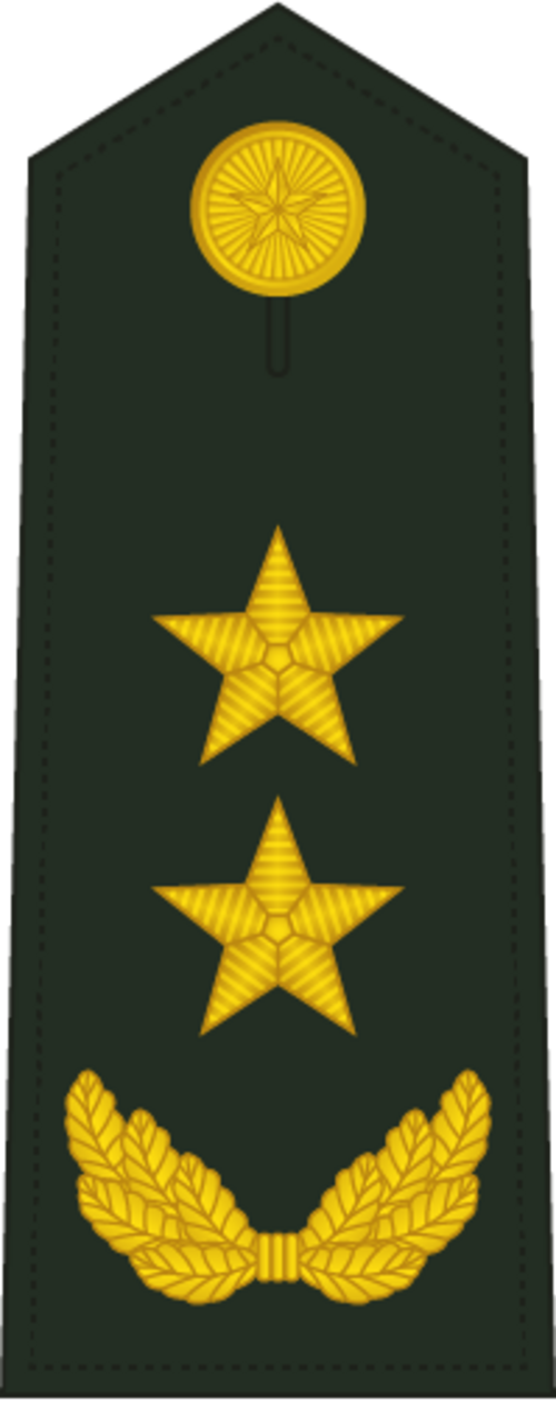 الفريق