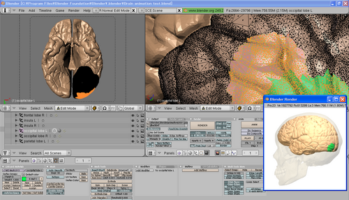 تم تنزيل بيانات المضلعات ثلاثية الأبعاد لأجزاء الجسم، وتم تعديلها باستخدام برنامج Blender.