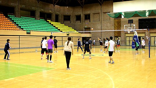 ملعب الكرة الطائرة