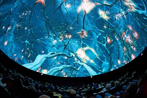 يُعتبر مسرح القبة في مركز Visualiseringscenter C في حرم جامعة نورشوبينغ، اعتبارًا من عام 2019، أفضل قبة في العالم من حيث جودة الصورة ثلاثية الأبعاد.