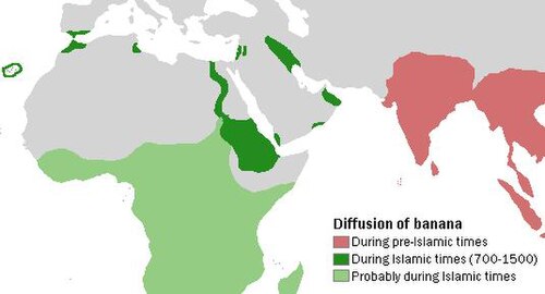 خريطة توضح أن زراعة الموز كانت موجودة في عصور ما قبل الإسلام في الهند وجنوب شرق آسيا، وخلال "الفترة الإسلامية" التي امتدت من 700 إلى 1500 ميلادي على طول نهر النيل وفي بلاد ما بين النهرين وفلسطين، وبشكل أقل تأكيد في أفريقيا جنوب الصحراء الكبرى خلال نفس الفترة.