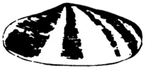1900–04