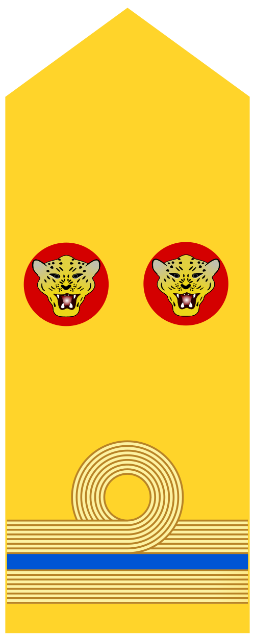 Capitaine de frégate (بحرية جمهورية الكونغو الديمقراطية)