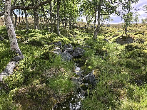 مصدر Göta älv/Klarälven.