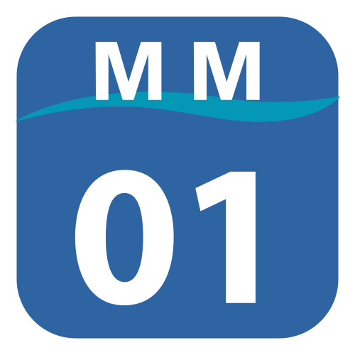 MM-01
