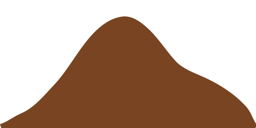 جبل الزيتون