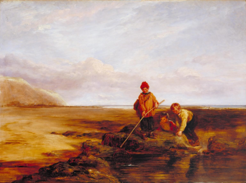 صيد الجمبري، 1828