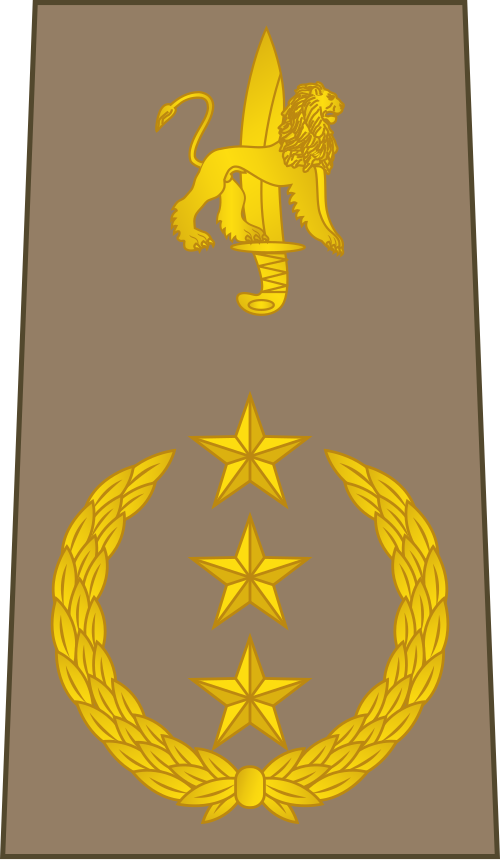 Général de Division (القوات البرية الكونغولية)
