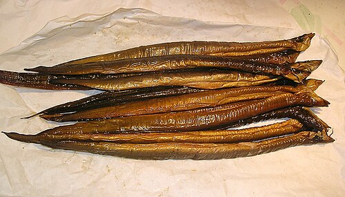 Gerookte paling (كلمة هولندية تعني ثعبان البحر المدخن)