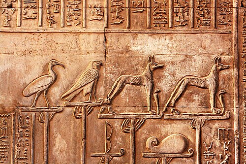 المعايير الإلهية المصورة في معبد كوم أمبو. القرن الثاني أو الأول قبل الميلاد.