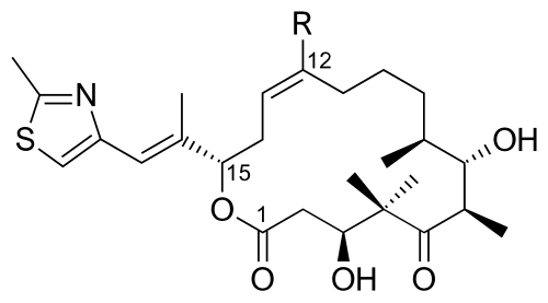 إيبوثيلون C (R = H) و D (R = Me)