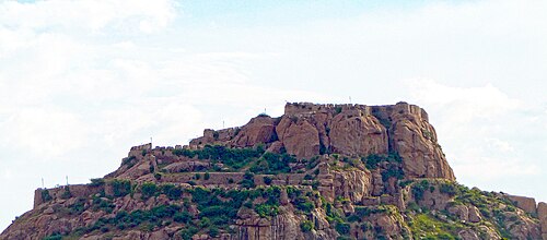 حصن