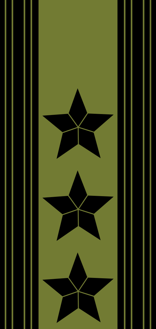 جيش