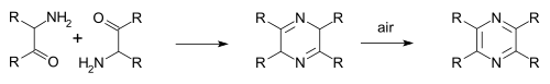 تخليق غوتكنيشت للبيرازين