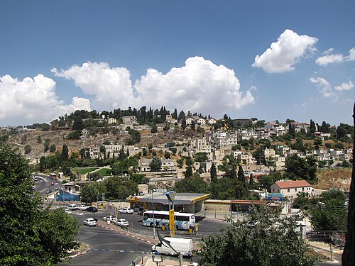 تم حفظه في عام 2009
