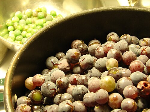 عنب ناضج (في المقدمة) وعنب أخضر غير ناضج (في الخلفية). يمكن تحويل العنب غير الناضج إلى عصير العنب الأخضر.