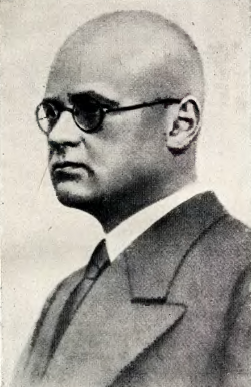 فيلدمان