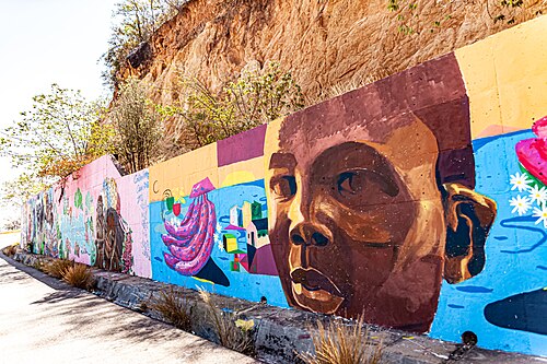 مشروع مدرسي ممول من حكومة أنغولا لتمكين الأطفال من رسم هذه الجدارية. قامت كل مدرسة برسم جدارية واحدة.