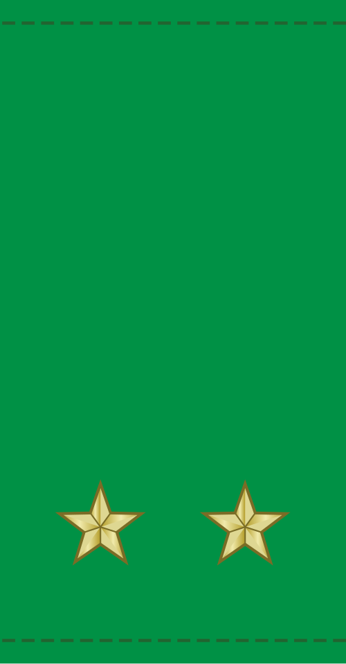 اللواء العام (جيش مالي)