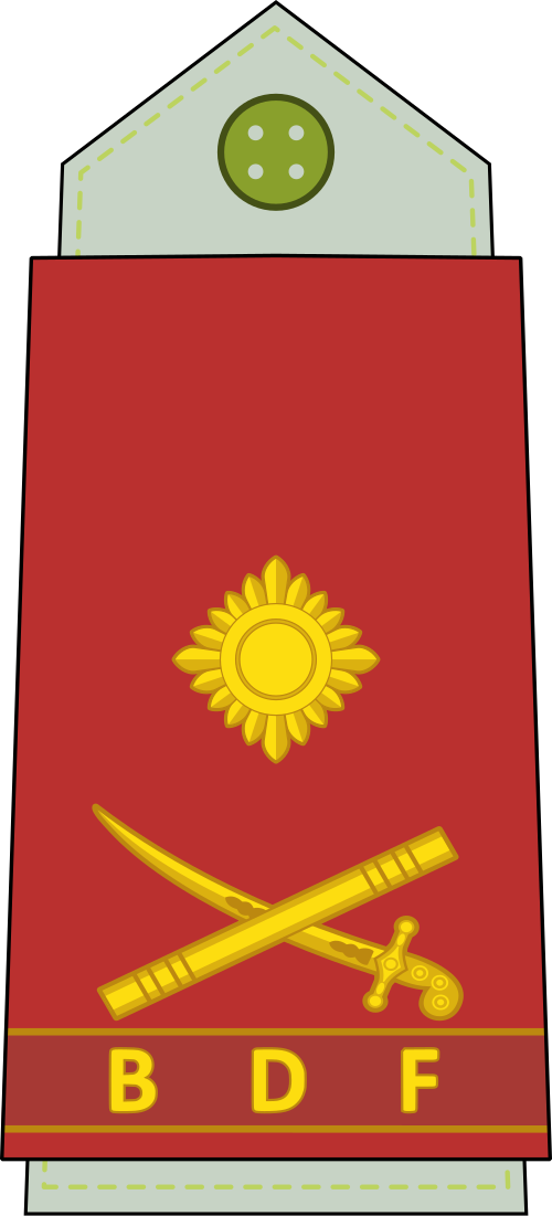 لواء (القوات البرية البوتسوانية)