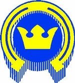 الشعار الذي استخدمه كيكو إسبو 1984–98