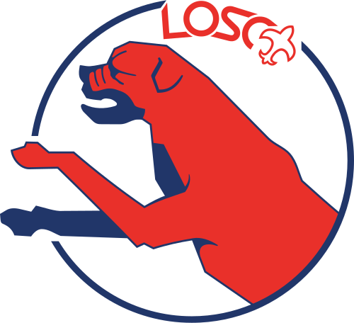1981–1989